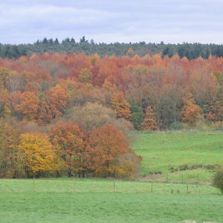 Hallerbos B&B In Bluebell Forest Halle  Buitenkant foto