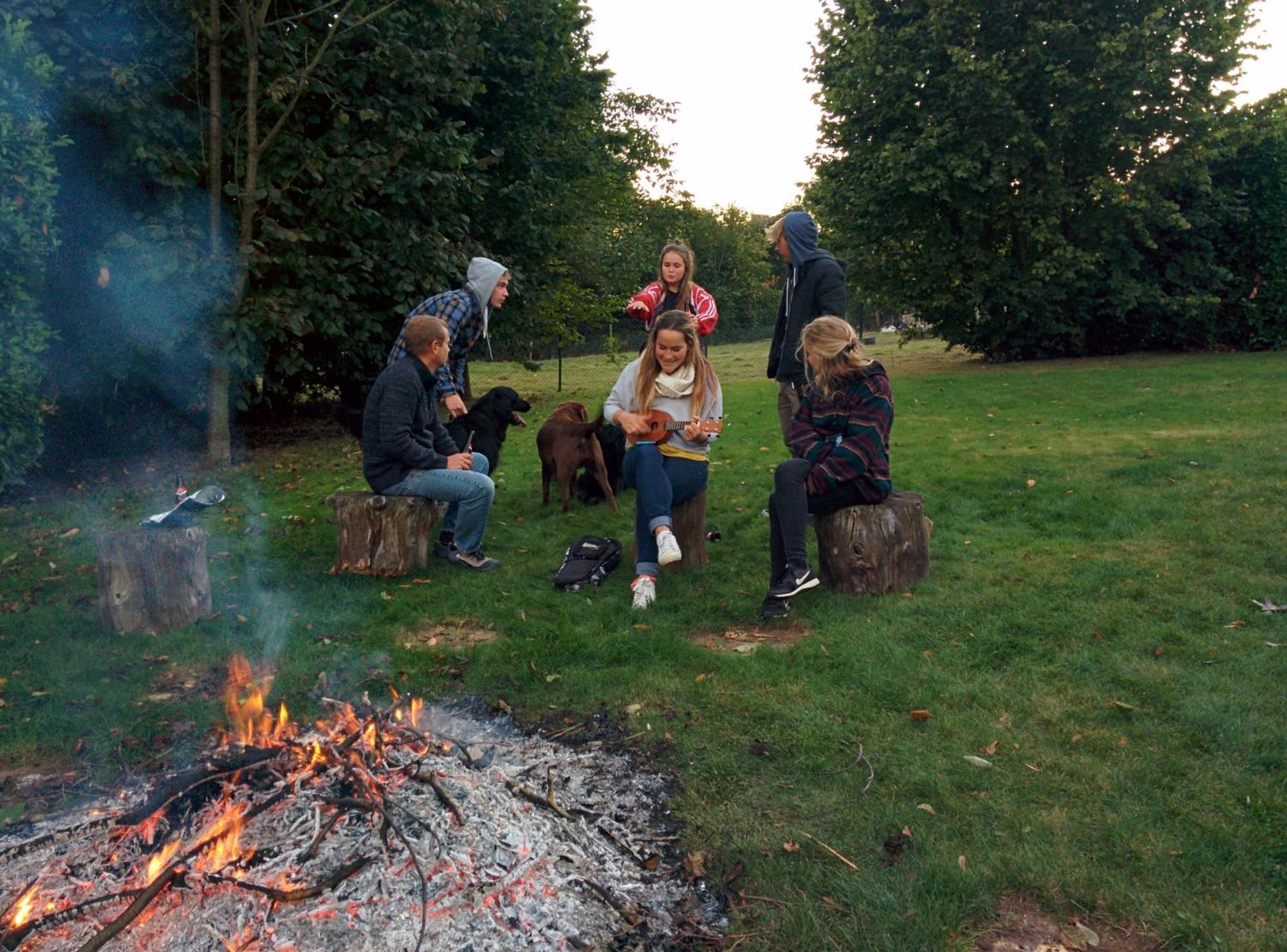 Hallerbos B&B In Bluebell Forest Halle  Buitenkant foto